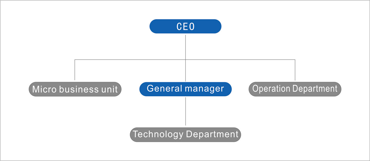 Staff structure