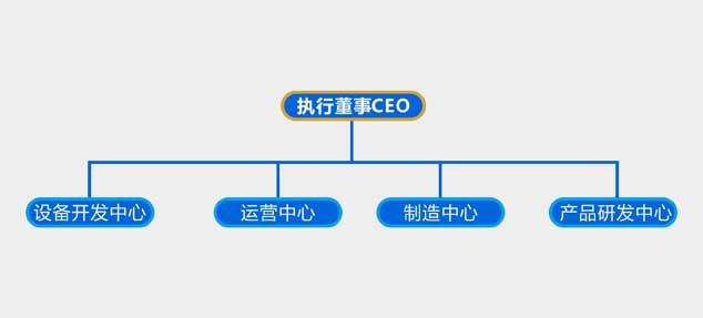 公司人员总架构